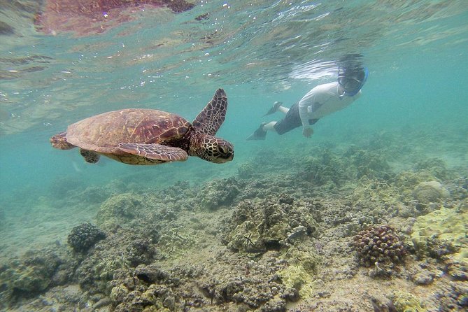 Private Tour of Oahu for 6 to 11 people - up to 8 hours - Snorkeling, Coolers, and the Gear Question