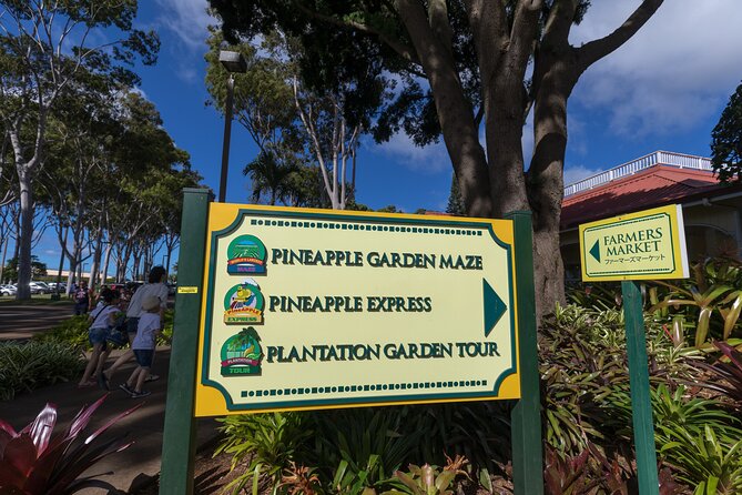 Real Hawaii Circle Island Tour - Diamond Head lookout to Hanauma Bay views: the morning wow-factor