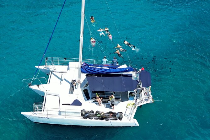 Sail and Turtle Snorkeling Tour in Waikiki - Before You Even Hit the Water: What You’ll Do at the Start