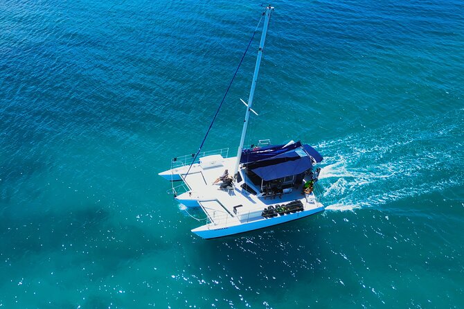 Sail and Turtle Snorkeling Tour in Waikiki - A Realistic Look at Sailing: What to Expect on the Wind