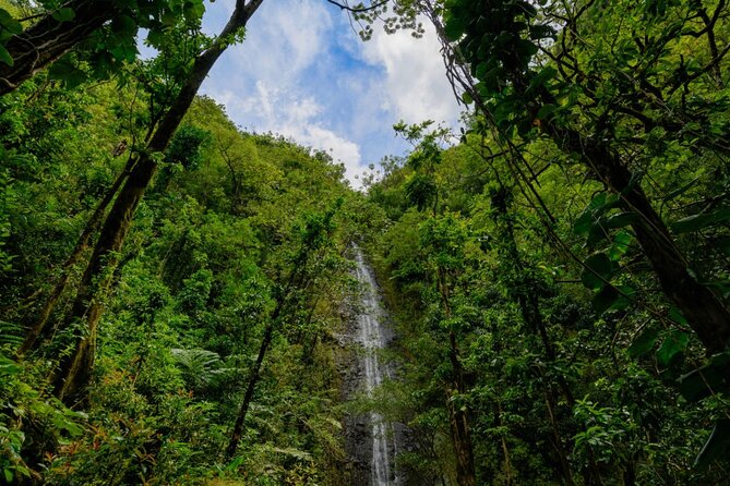 Self guided Hike Trail to Nature Walk & Waterfall - Pu’u ‘Ualaka’a State Park: the lookout that makes the hike feel worth it