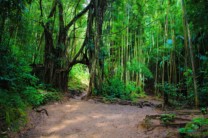 Self guided Hike Trail to Nature Walk & Waterfall - Pickup, timing, and how the small-group size affects your day