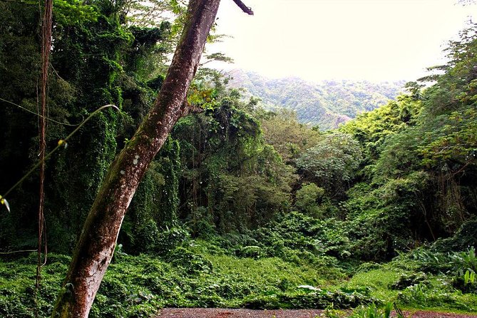 Self guided Hike Trail to Nature Walk & Waterfall - Price and value: is $79 for 3 hours a fair deal?