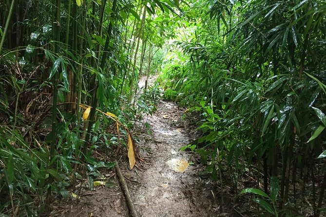 Self guided Hike Trail to Nature Walk & Waterfall - Accessibility and weather reality check
