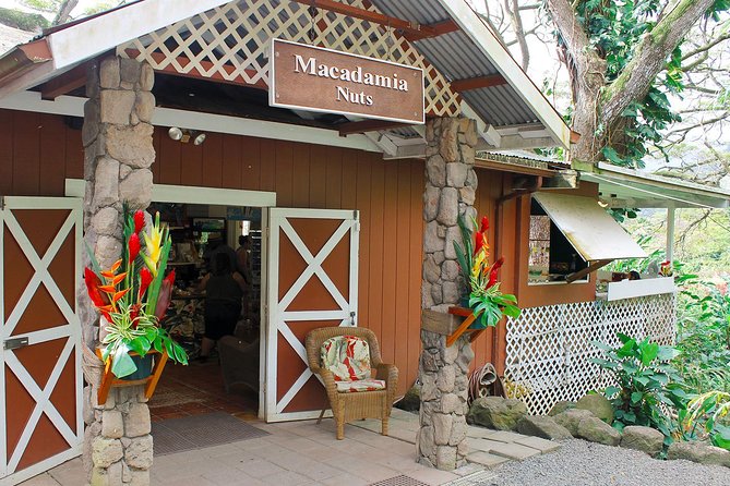 Sights & Bites Ultimate Oahu Circle Island Foodie Tour - North Shore lunch reality: Aloha Shrimp plate (and how to handle not-included food)