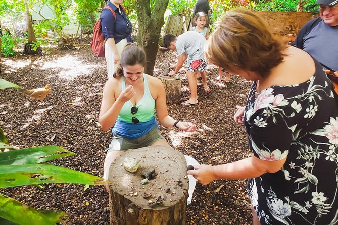 Sights & Bites Ultimate Oahu Circle Island Foodie Tour - Who should book this Oahu circle island food-and-sights tour