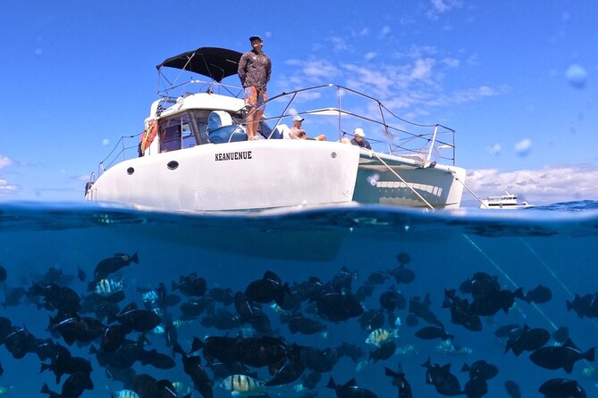 Small Group Turtle Canyon Snorkel in Waikiki (Boat Tour) - Key moments that make this snorkel tour worth it