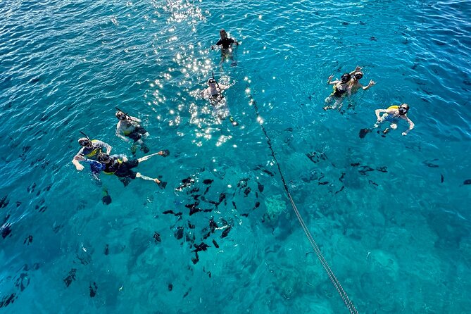 Small Group Turtle Canyon Snorkel in Waikiki (Boat Tour) - Turtle Canyon off Waikiki, but with a small boat feel