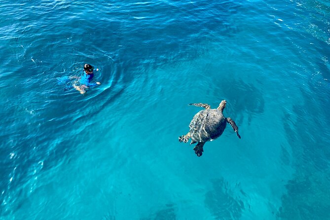 Small Group Turtle Canyon Snorkel in Waikiki (Boat Tour) - The catamaran setup: shade, bathroom, and real comfort