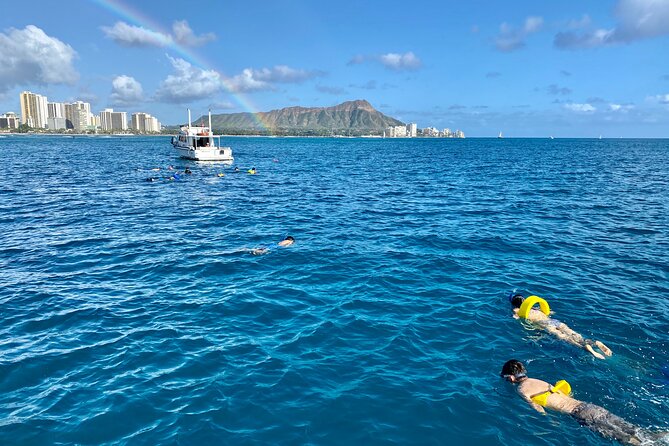 Small Group Turtle Canyon Snorkel in Waikiki (Boat Tour) - Where you meet (and what to plan for before you go)