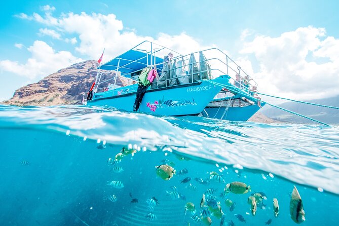 Snorkeling with Sea Turtles in Waikiki Hawaii Boat Tour - Snorkeling Turtle Canyon for Honu: Why This Trip Matters