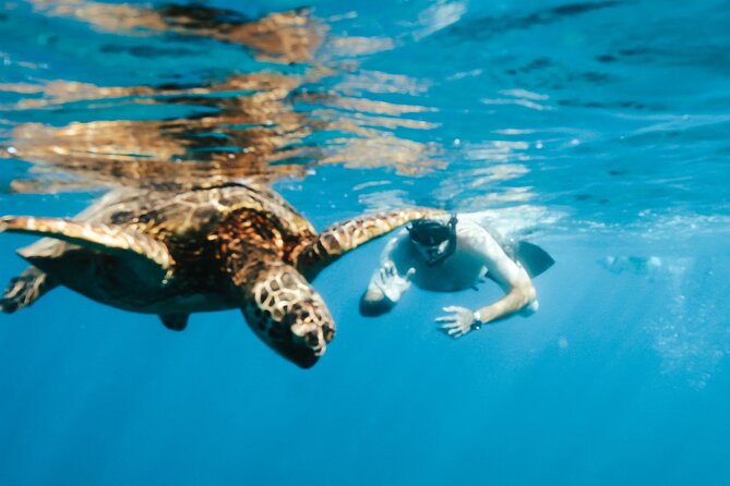 Snorkeling with Sea Turtles in Waikiki Hawaii Boat Tour - Stop-by-Stop: Waikiki to Honolulu to Oahu Waters
