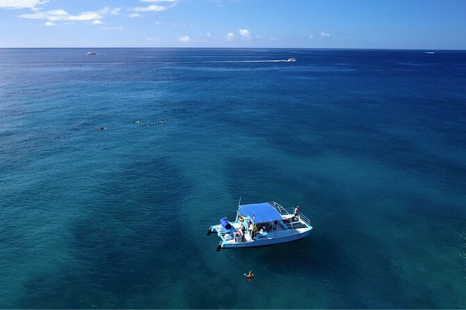 Snorkeling with Sea Turtles in Waikiki Hawaii Boat Tour - After Snorkeling: Diamond Head and Waikiki From Sea Level
