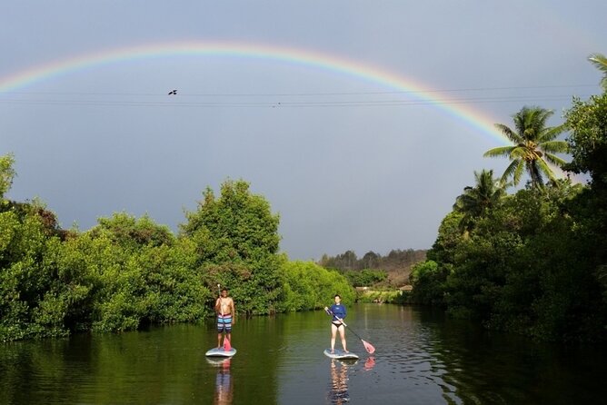 Stand Up Paddle Nature and Turtle tour-Guaranteed to see turtles - Key things I’d circle before you book