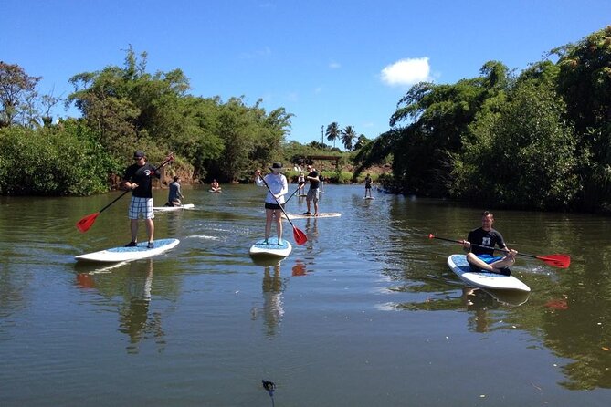 Stand Up Paddle Nature and Turtle tour-Guaranteed to see turtles - Gliding into the Anahulu Stream: what the river experience feels like
