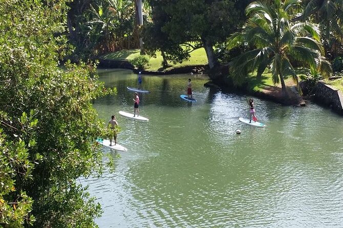 Stand Up Paddle Nature and Turtle tour-Guaranteed to see turtles - Snorkel time: quick underwater looks without the full commitment