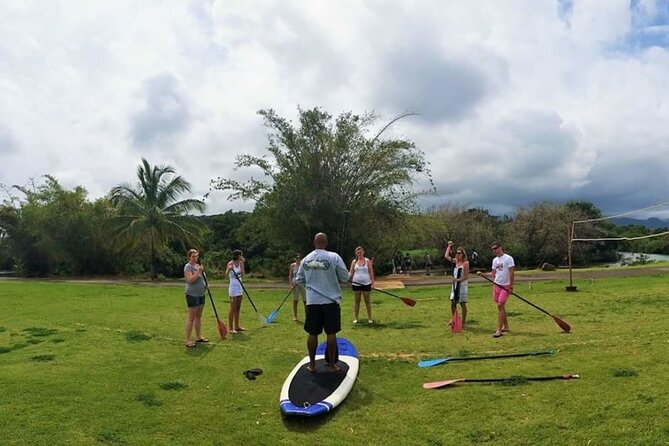 Stand Up Paddle Nature and Turtle tour-Guaranteed to see turtles - Turtle sightings: what to expect and how to improve your odds