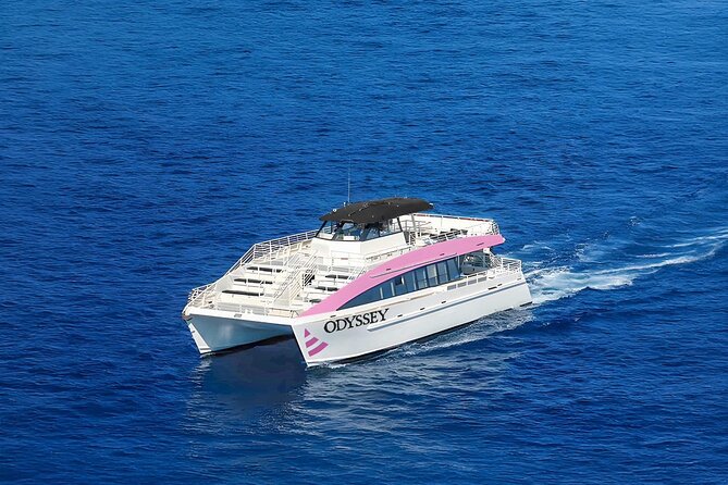 Sunset Cruise & Whale Watching from Oahu - Value check: is $61.19 per person worth it