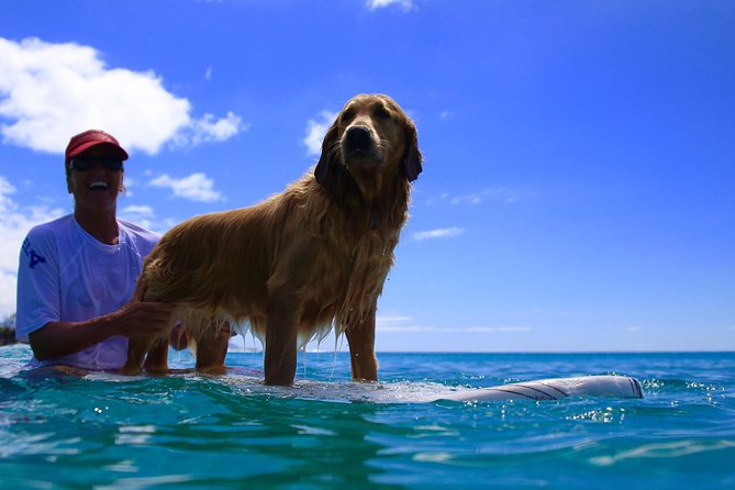 Surf Lessons on the North Shore of Oahu - Key Points Before You Go