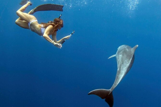 Swim with Dolphins Catamaran with Waterslide & Lunch on Oahu - Makaha Snorkel Beach: Turtles, Reef Fish, and a Lot of Water Toys