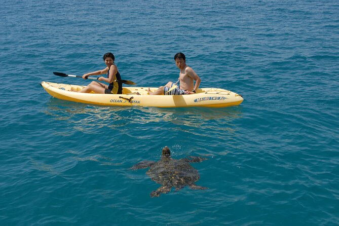 Swim with Dolphins Catamaran with Waterslide & Lunch on Oahu - Lunch, Hot Cocoa, and the Stuff That Makes You Stay Happy