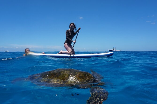 Swim with Dolphins Catamaran with Waterslide & Lunch on Oahu - Crew Style: Safety-First, Organized, and Sometimes Very Direct