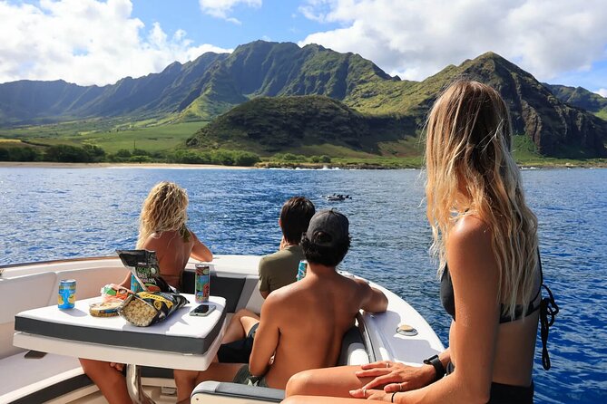 Swim With Dolphins & Turtles in West Oahu (Semi-Private Tours) - Dolphins, Turtles, and the One Thing You Can’t Control