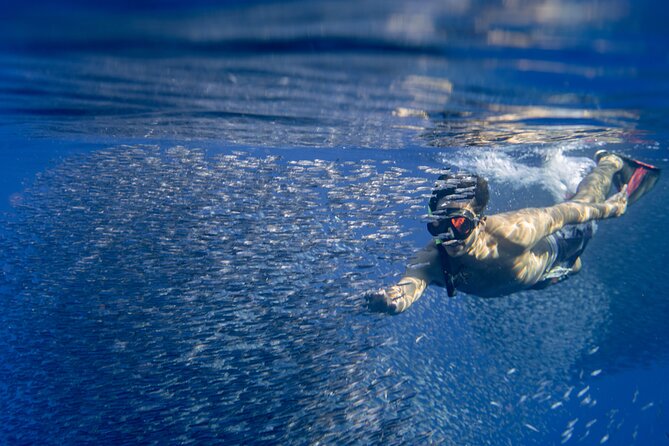 Swimming with Wild Dolphins Speedboat Adventure on Oahu - Captain and Crew: Why Small Groups Feel More Personal