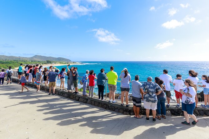 Tour of North Shore & Waimea Waterfall - A Full-Day North Shore Plan That Actually Feels Doable