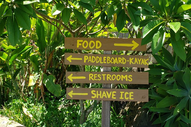 Tour of North Shore & Waimea Waterfall - Lunch at Fumi’s Kahuku Shrimp: Worth Building Time Around