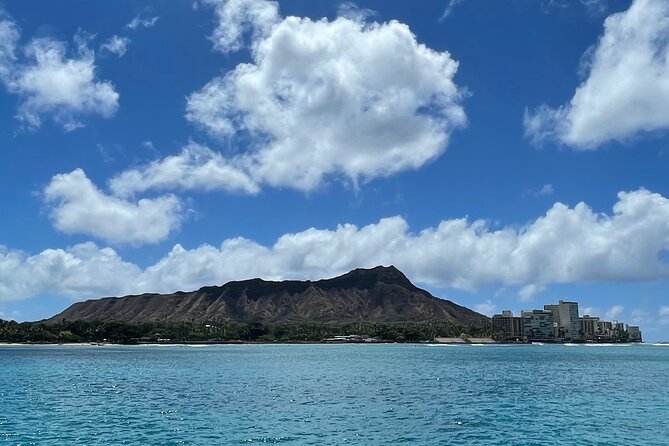 Turtle Canyon Snorkel Adventure in Waikiki, Oahu - Where you meet: Charter Oahu at Ala Moana, Slip B5