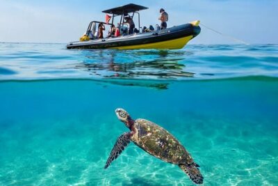 Turtle Canyon Snorkel Adventure - Small Group 6 Passengers - The 28-foot speedboat ride along Waikiki: short, scenic, and useful