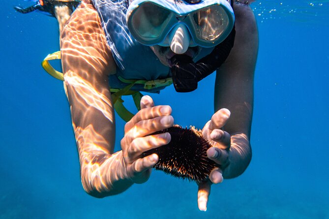 Turtle Canyon Snorkel: Semi Private Boat Tour - What to Bring (and How to Avoid Common Snorkel Friction)