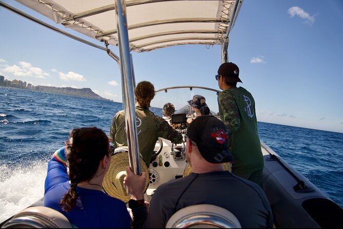 Turtle Canyon Snorkel: Semi Private Boat Tour - Waikiki Stop: Your First Look While the Background Is Familiar
