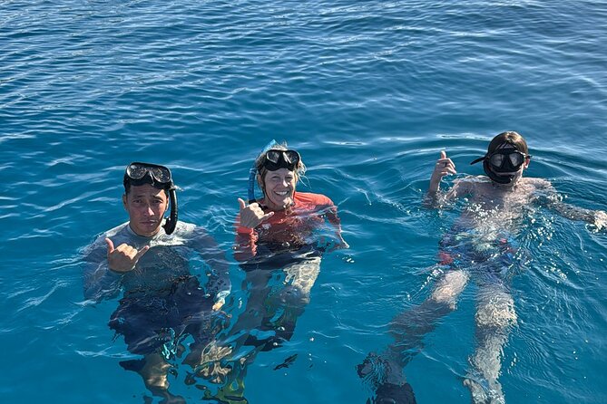 Turtle Canyon Snorkel Tour - Semi-private: 6 passenger max - Why This Turtle Canyon Snorkel Feels Like a Private Charter