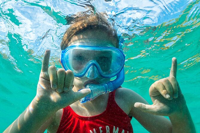 Turtle Canyon Waikiki Snorkel Adventure - Meeting point, getting there, and what to bring