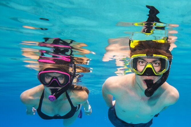 Turtle Canyon Waikiki Snorkel Adventure - Price and value: does $141.10 make sense?