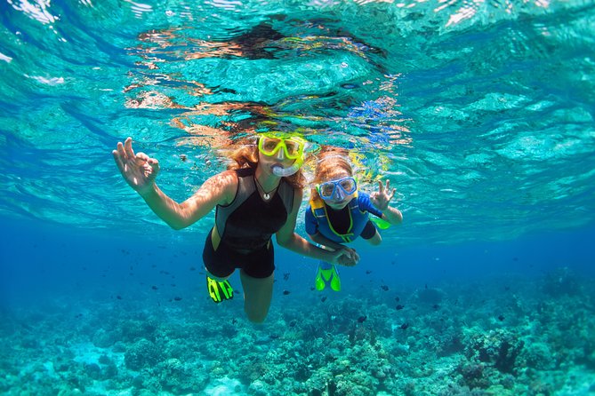 Ultimate Grand Oahu Circle Island Tour with Snorkeling and More - Why This Circle Island Tour Beats Driving Yourself