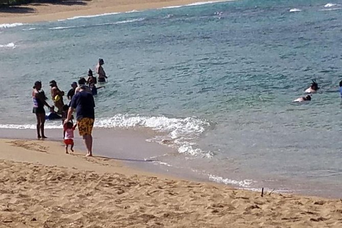 Ultimate Grand Oahu Circle Island Tour with Snorkeling and More - Snorkeling: Shark’s Cove, Turtle Chances, and What to Expect