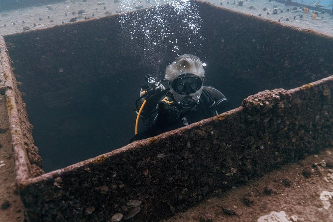 Waikiki 2 Tank World Class Wreck SCUBA Diving - Certified Only - Waikiki’s Wreck-and-Reef Combo: Sea Tiger and Other Wreck Stops
