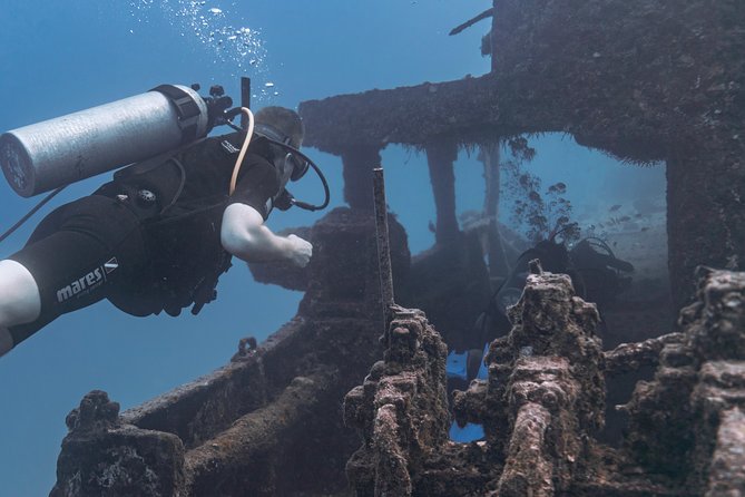 Waikiki 2 Tank World Class Wreck SCUBA Diving - Certified Only - Tank Two: Waikiki Reef Life and the Second-Dive Rhythm