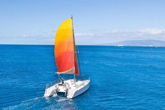 Waikiki 3pm Tradewind Sail - Open Bar Included - Whale-season odds: what you should know about humpbacks