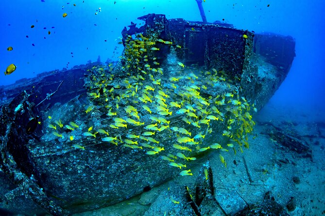 Waikiki: Atlantis Submarine Adventure - Inside the cabin: roomy, air-conditioned, built for big windows
