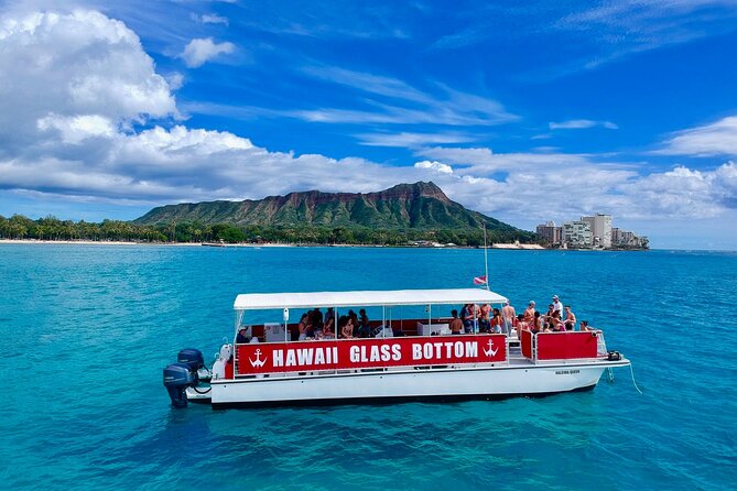 Waikiki Beach Glass Bottom Boat Cruise - Stop 1: Kewalo Basin Harbor (Where You Start Watching Fast)