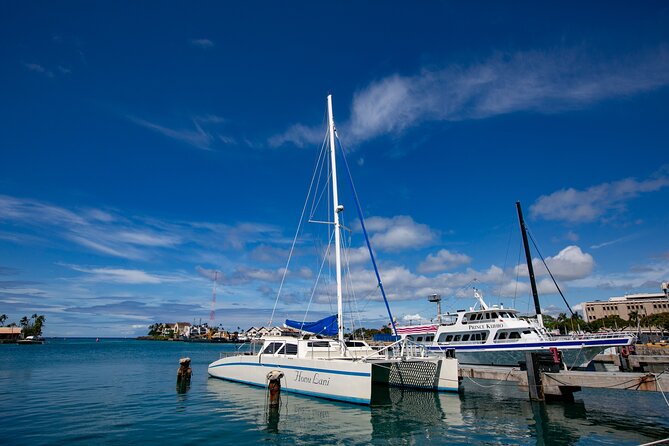 Waikiki Catamaran Snorkel Sail with Lunch: Turtles Guaranteed - Price and value: is $134.95 “worth it”?