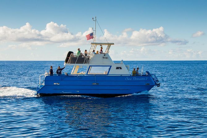 Waikiki Deluxe Catamaran Whale Watch - Food and Drinks: Yes, There’s a Bar, But Don’t Expect a Full Meal