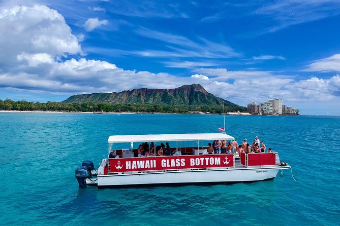 Waikiki Glass Bottom Boat Tour - Waikiki glass bottom boat: what this 1-hour cruise really feels like