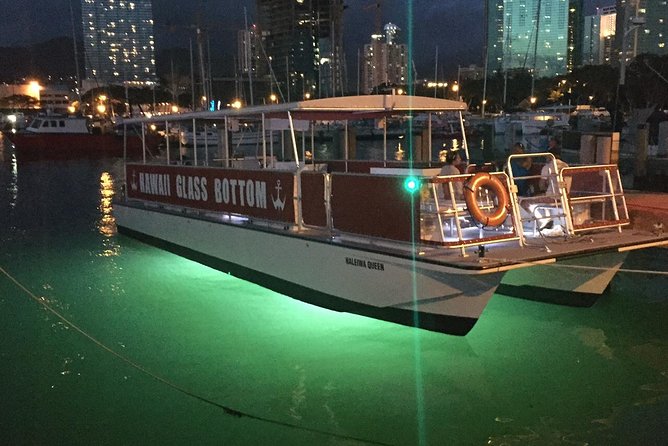 Waikiki Glass Bottom Boat Tour - What you’ll actually see through the glass bottom