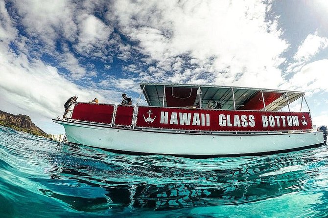 Waikiki Glass Bottom Boat Tour - The Kewalo Basin departure: where to show up and what to watch for
