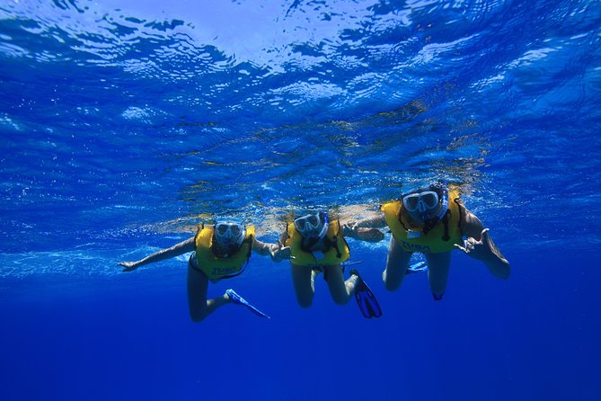 Waikiki, Hawaii: Turtle Canyon Snorkel Excursion - Practical tips so your day stays smooth
